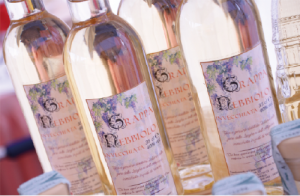 Produzione liquori artigianali in Piemonte